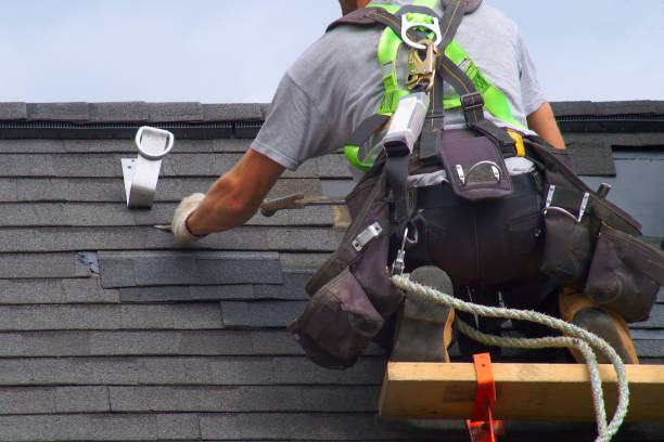 Best Roof Repair Services  in Alma, MI