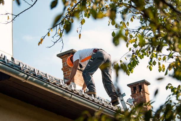 Roof Waterproofing Services in Alma, MI