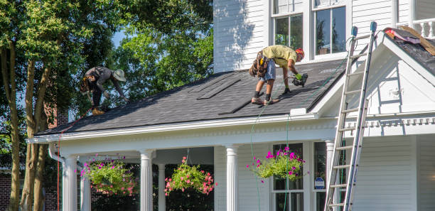 Best Metal Roofing Contractor  in Alma, MI